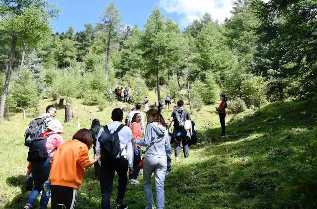 Atividades da equipe